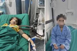 Cảnh báo khẩn sau vụ 2 mẹ con tử vong vì uống nước lá cây rừng