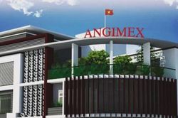 Chủ tịch Angimex (AGM) bán toàn bộ cổ phần, doanh nghiệp nỗ lực thu hẹp khoản lỗ bán niên