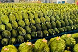 Lâm Đồng mở rộng cơ hội xuất khẩu hàng hóa sang Trung Quốc