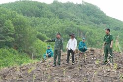 Khảo sát khu vực nghi có mộ tập thể liệt sĩ ở Quảng Ngãi