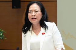 Bổ nhiệm lại Phó Chủ nhiệm Văn phòng Quốc hội Nguyễn Thị Thúy Ngần