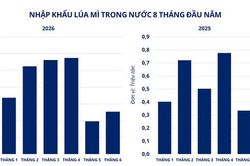 Giá đồng lập đỉnh lịch sử, lúa mì giảm 6%