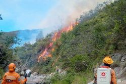 Cháy rừng tại Colombia thiêu rụi khu vực 3.000 ha