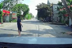 Cây xanh ven đường đổ sập trong lúc đang cưa, đè tử vong người đi xe máy