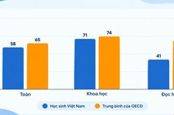 Gần 60% học sinh Việt Nam chưa đạt chuẩn đọc hiểu cơ bản