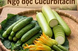 Cảnh báo nguy hiểm ngộ độc cucurbitacin từ các loại rau quả họ bầu bí