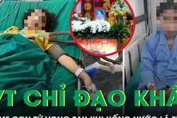 Bộ Y tế chỉ đạo khẩn vụ 2 mẹ con tử vong sau khi uống nước lá tự hái