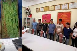 Khởi tố nhóm đối tượng livestream chiếm đoạt hơn 1 tỷ đồng của người 'đãi vàng trên mạng'
