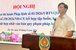 Bộ Tư pháp triển khai quy định mới, đổi mới công tác hợp nhất văn bản