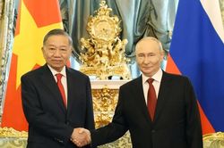 Tổng Bí thư, Chủ tịch nước Tô Lâm hội đàm với Tổng thống Liên bang Nga Vladimir Putin