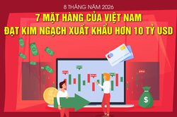 Việt Nam có 7 mặt hàng xuất khẩu hơn 10 tỷ USD trong 8 tháng năm 2026