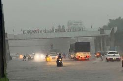 Mưa lớn gây ngập một số tuyến đường tại TP Hồ Chí Minh