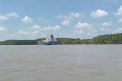 TPHCM chủ động các phương án phòng, chống thiên tai