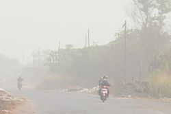 Cháy rừng nghiêm trọng, Indonesia tạm đóng cửa nhiều trường học