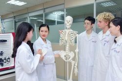 Đưa hợp tác giáo dục Việt - Pháp vào những lĩnh vực chiến lược