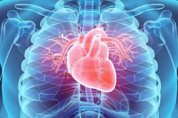 Liệu pháp điều trị suy tim từ quả lựu
