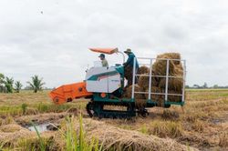 Tin tức nổi bật ngày 10/9: Tăng mức hỗ trợ phí bảo hiểm nông nghiệp lên tối đa 95%
