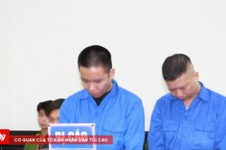 Chi 50 triệu đồng mua ma túy để bán kiếm lời