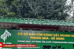 Bên trong nơi chăm sóc 7 cá thể Hổ Đông Dương ở Phong Nha - Kẻ Bàng