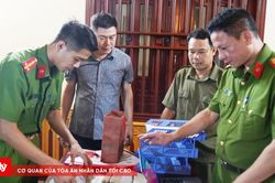 Điều tra 'Linh Lùn' núp bóng doanh nghiệp trốn thuế