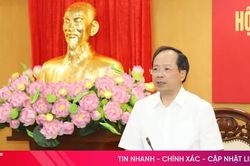 Ban Thường vụ Tỉnh ủy, Ban Chấp hành Đảng bộ tỉnh cho ý kiến nhiều nội dung quan trọng