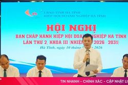 Hiệp hội Doanh nghiệp Hà Tĩnh nâng cao vai trò hỗ trợ và tăng cường kết nối