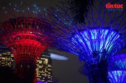 Đêm rực rỡ dưới những 'siêu cây khổng lồ' ở Singapore