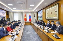 Chủ tịch Quốc hội Trần Thanh Mẫn tiếp Chủ tịch Nhóm Nghị sĩ hữu nghị Mông Cổ - Việt Nam