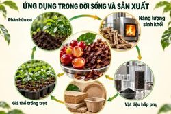 TP Hồ Chí Minh: Tận dụng phụ phẩm cà phê để tạo giá trị gia tăng