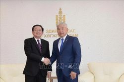 Phó Thủ tướng Hồ Quốc Dũng làm việc với Phó Thủ tướng Thường trực, Bộ trưởng Kinh tế và Phát triển Mông Cổ