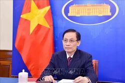 Việt Nam-Pháp đưa Đối tác Chiến lược Toàn diện đi vào chiều sâu