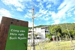Nhiều cây xanh chết khô tại công viên trên tuyến đường lên bán đảo Sơn Trà