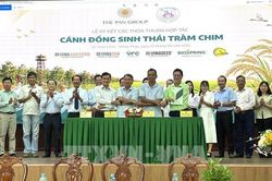 Đồng Tháp hợp tác '4 nhà' xây dựng vùng lúa sinh thái Tràm Chim
