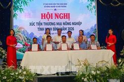 Xúc tiến thương mại mở thêm dư địa cho nông sản Ninh Bình