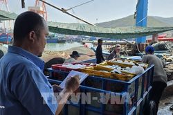 Khắc phục 'thẻ vàng' IUU: Siết chặt quản lý, giám sát chặt hành trình tàu cá