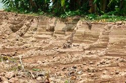 Vụ hàng trăm khối đất ruộng bị đào ở Hưng Yên: Không khởi tố vụ án