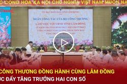 Bộ Công Thương đồng hành cùng Lâm Đồng thúc đẩy tăng trưởng hai con số