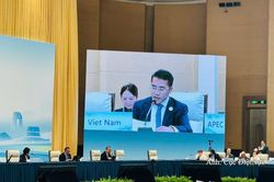 Việt Nam nhấn mạnh ba ưu tiên trong hợp tác năng lượng APEC