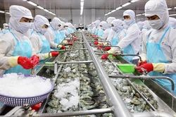 Thủy sản Việt Nam tìm thêm động lực tăng trưởng ngoài thị trường Mỹ