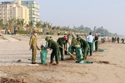 Thanh Hóa: Gom rác, góp xanh cho biển