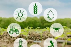 Tăng mức hỗ trợ phí bảo hiểm nông nghiệp tới 95%