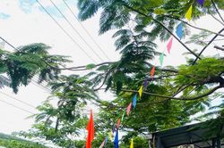 Góp sức vì cổng trường bình yên