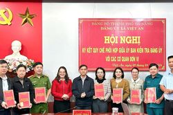 Đổi mới, nâng cao hiệu lực công tác kiểm tra, giám sát