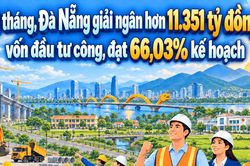 [Infographic] - 8 tháng, Đà Nẵng giải ngân hơn 11.351 tỷ đồng vốn đầu tư công, đạt 66,03% kế hoạch năm
