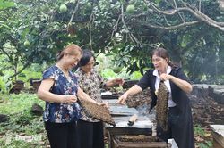 Phường Hàng Gòn: Chuyển đổi sản xuất, phát triển nông nghiệp hiện đại