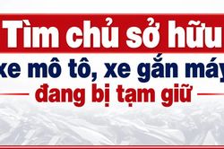 Gia Lai: Tìm chủ sở hữu 401 xe mô tô, xe gắn máy đang bị tạm giữ