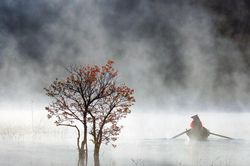 Thị trường nhiếp ảnh và những câu hỏi mở