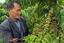 Thành Công trên vùng đất sình