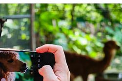 HONOR Magic 9 Pro Max sở hữu camera kép 200MP chuẩn ARRI cùng khả năng siêu zoom tới 1000mm