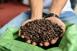 Giá cà phê hôm nay 10/9: Đồng loạt tăng, robusta cao nhất 1 tuần do lo ngại thời tiết tại Việt Nam